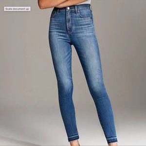 Aritzia DENIM FORUM High Rise Lola Skinny Jeans